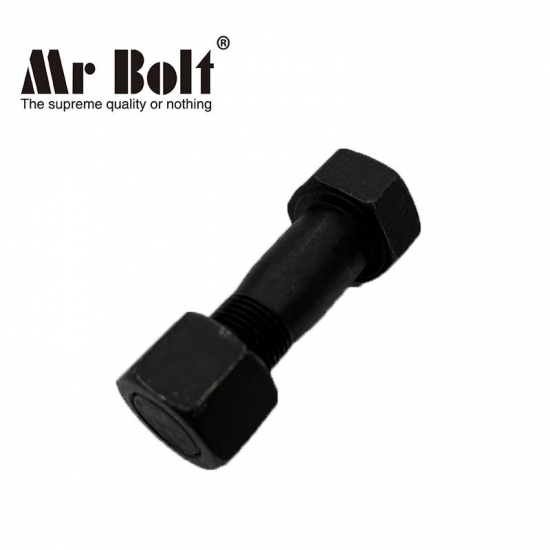 Track Bolt and Nut M20*63 Shoe Track Grade 12.9 High Quality